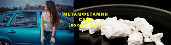 прущие грибы Семёнов