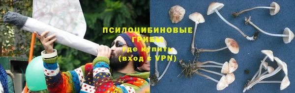 крисы Балахна